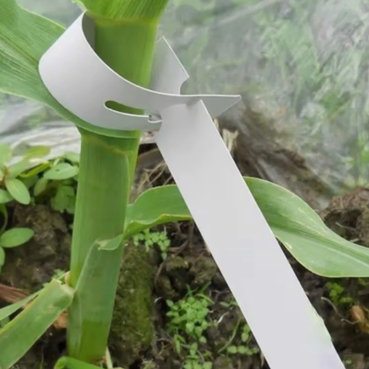White Self-Tie Plant Labels – Pack of 50