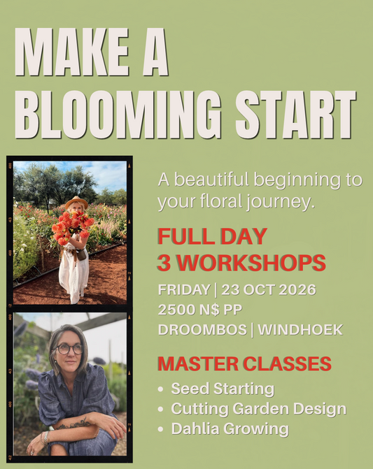 MAKE A BLOOMING START | Full Day Workshop 23 October 2026